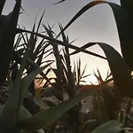 Casa Enos - Ocean View Tenerife South Διαμέρισμα
