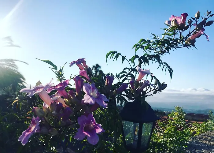 Casaenos Apartamento