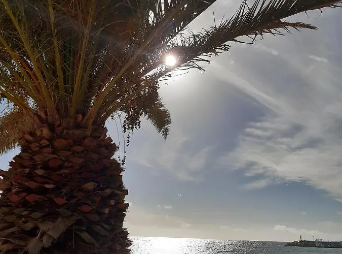 Apartamento Casaenos