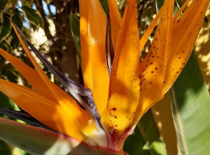 Apartamento Casaenos *