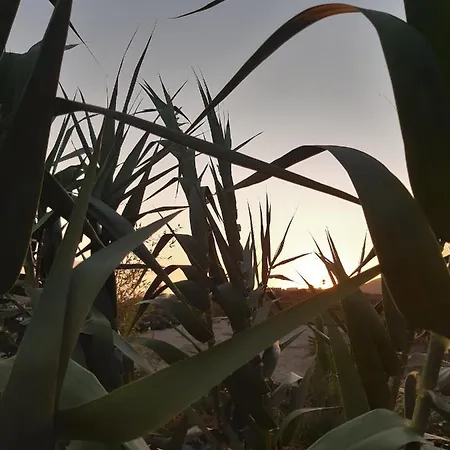 Casaenos Appartamento