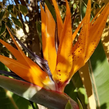 Appartamento Casaenos *