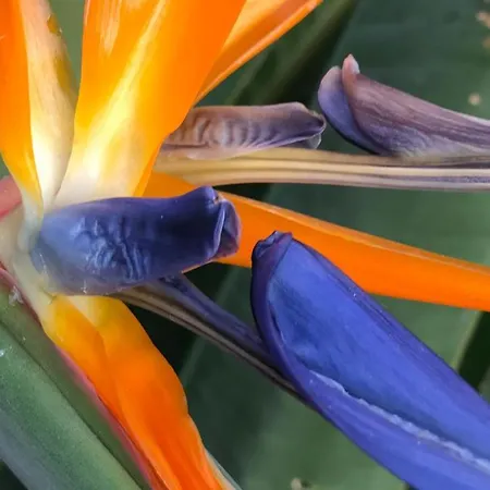Casaenos Granadilla De Abona