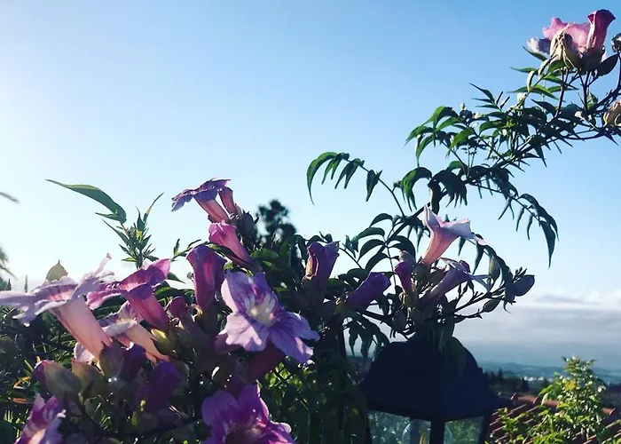 Apartment Casaenos Granadilla De Abona