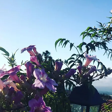 דירה Casa Enos - Ocean View Tenerife South גרנדילה דה אבונה