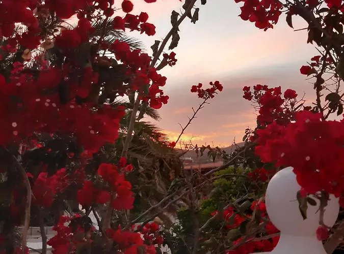 Διαμέρισμα Casaenos